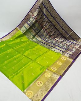 Big Border Peshwai Silk Paithani Parrot Green and Blue