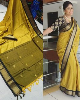 Paithani Border Sico Silk Paithani Musterd Yellow and Black